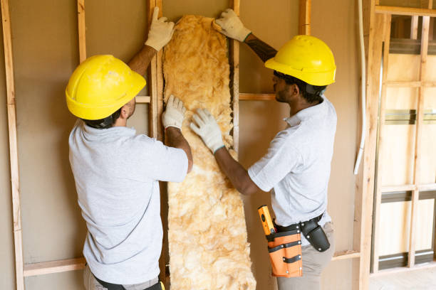 Best Attic Insulation Installation  in Ocean City, FL