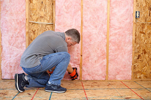 Best Insulation for New Construction  in Ocean City, FL